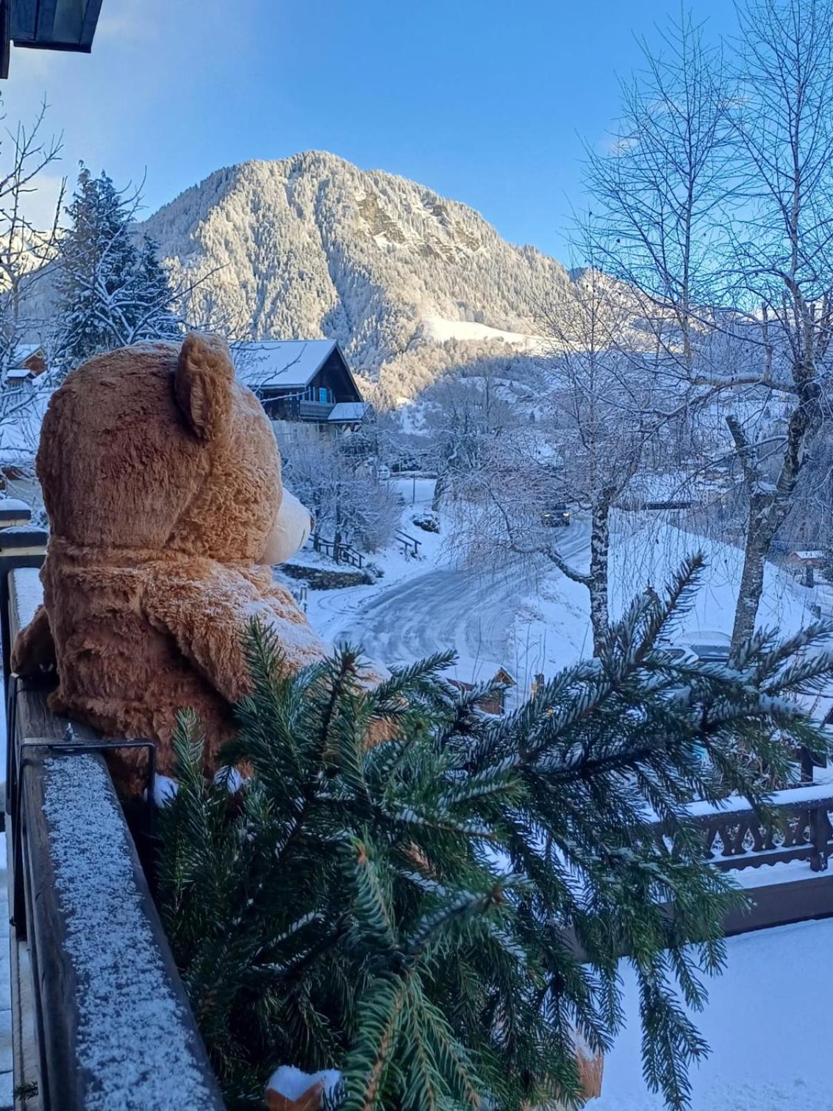 Chalet Appart'Hotel L'Eau Vive Saint-Nicolas-la-Chapelle  Exterior photo